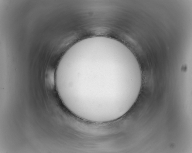 X0000091660028200709061030