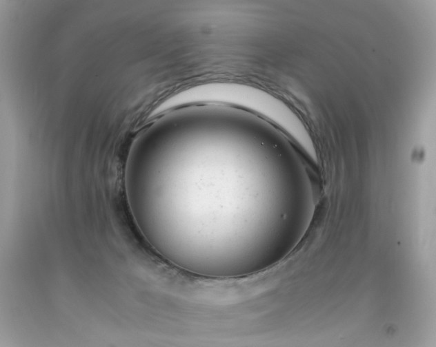 X0000091660029200709061030