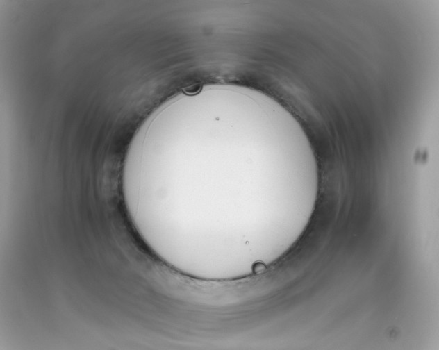 X0000091660030200709061030