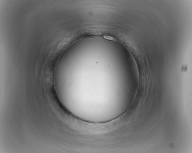 X0000091660031200709061030