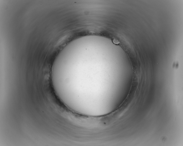 X0000091660032200709061030