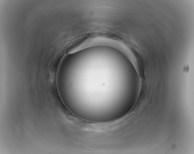 X0000091660033200709061030