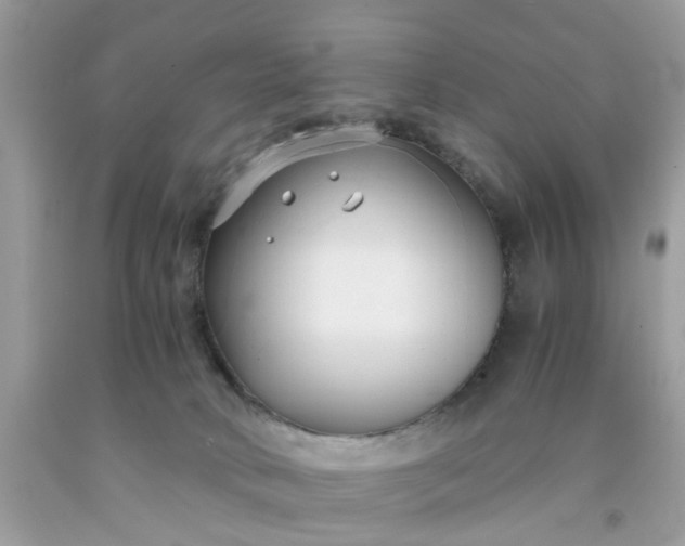 X0000091660034200709061030