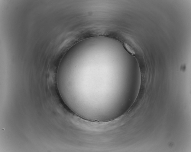 X0000091660035200709061030