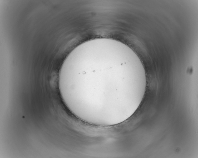 X0000091660036200709061030