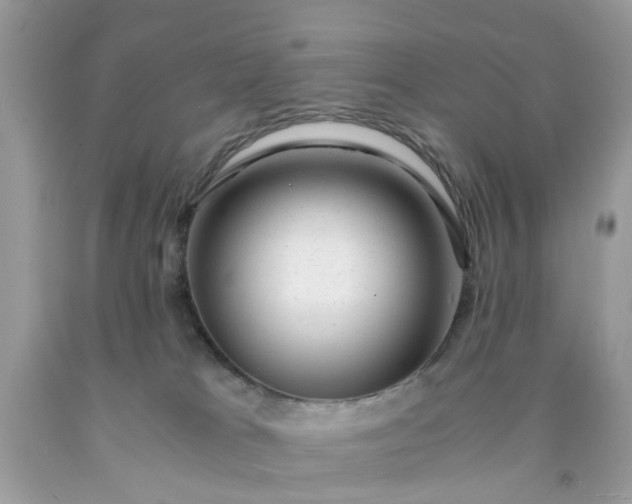 X0000091660037200709061030