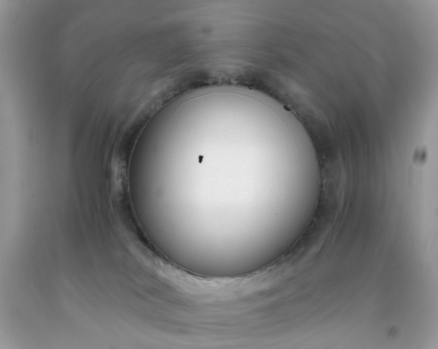 X0000091660038200709061030