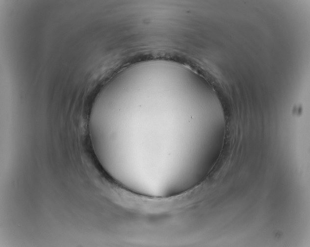 X0000091660039200709061030