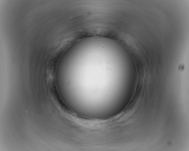 X0000091660040200709061030