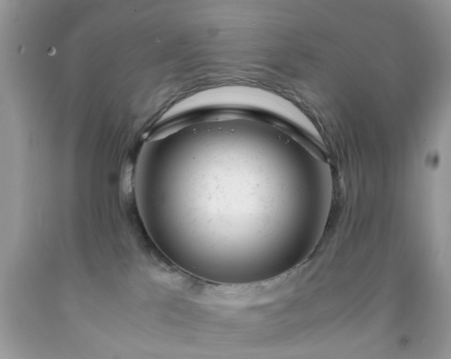 X0000091660041200709061030