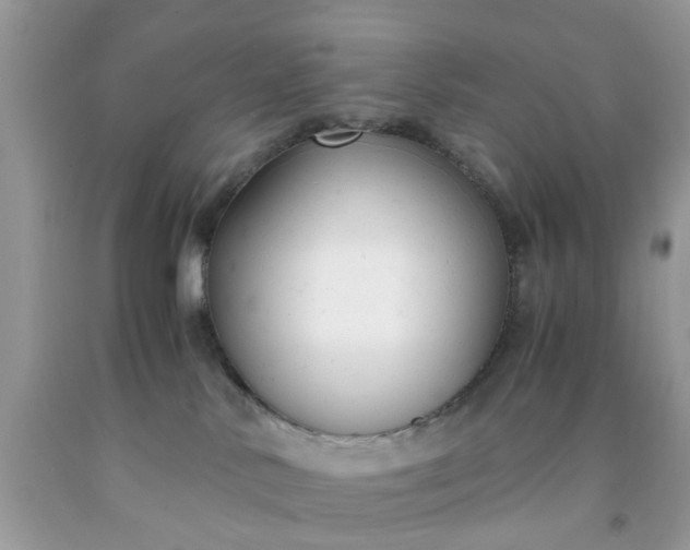 X0000091660042200709061030