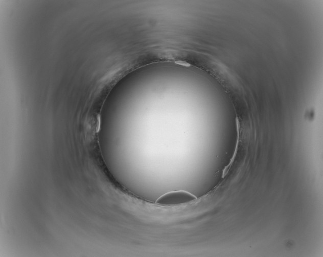 X0000091660043200709061030