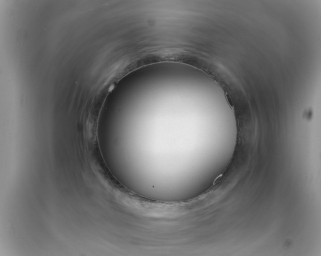 X0000091660044200709061030