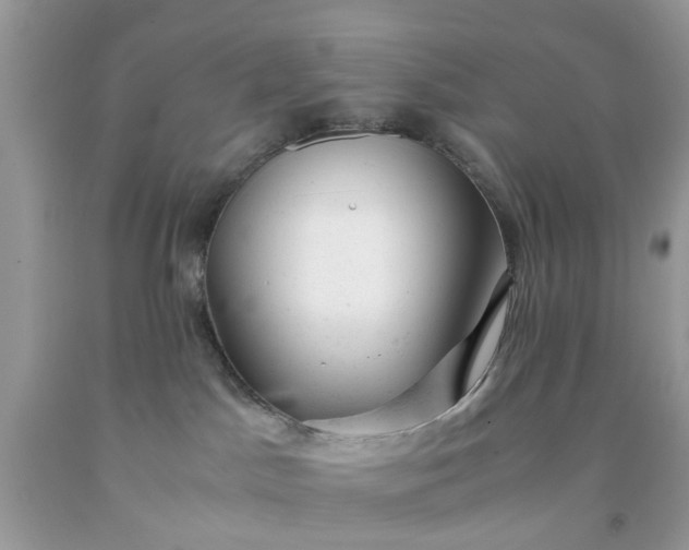 X0000091660045200709061030