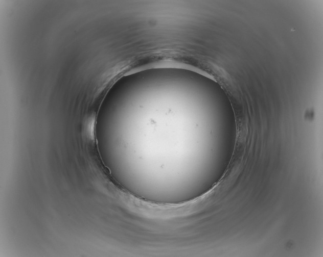 X0000091660047200709061030