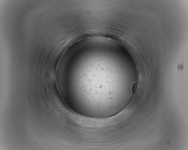 X0000091660048200709061030