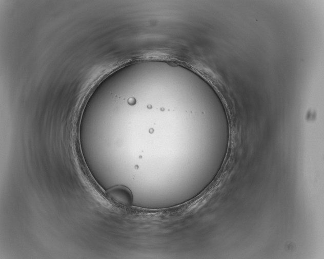 X0000091660049200709061029