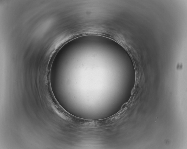 X0000091660050200709061029