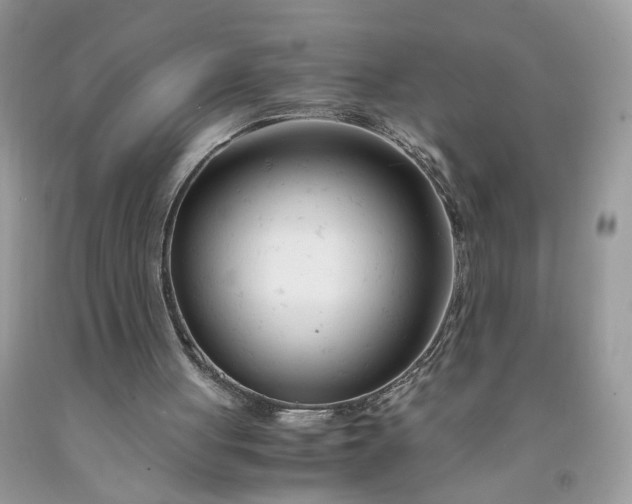 X0000091660051200709061029