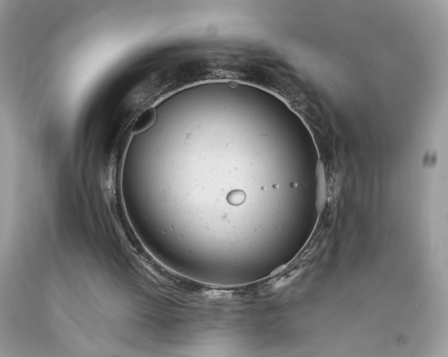 X0000091660052200709061029