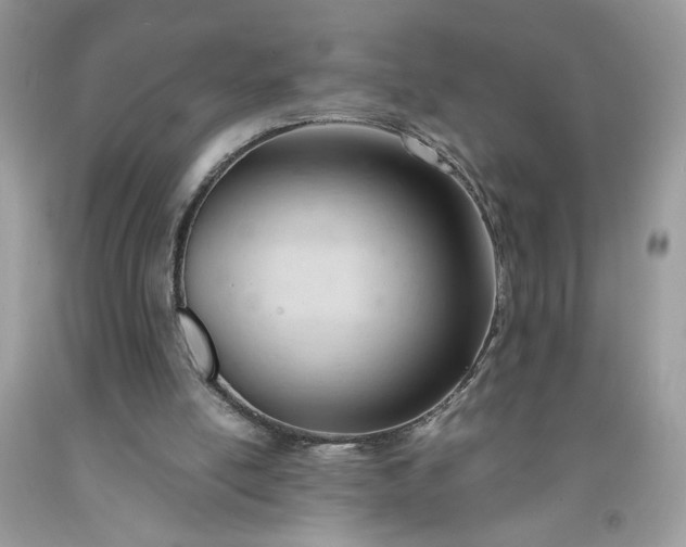 X0000091660054200709061030