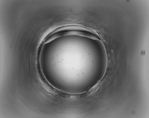 X0000091660056200709061030