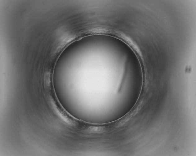 X0000091660057200709061030