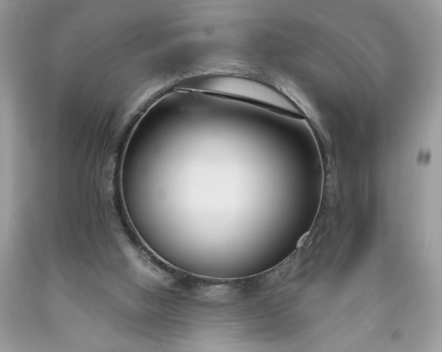 X0000091660058200709061030