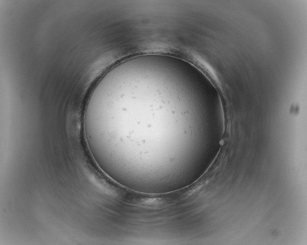 X0000091660059200709061030