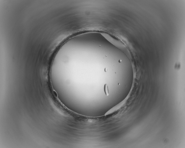 X0000091660060200709061030