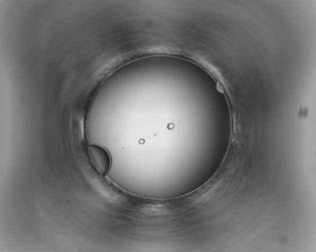 X0000091660061200709061030