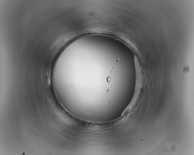 X0000091660062200709061030