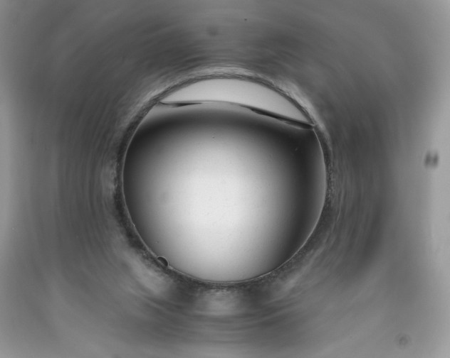 X0000091660063200709061030