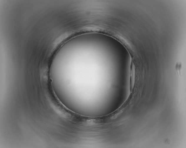 X0000091660064200709061030