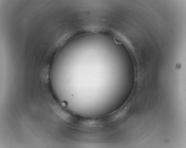 X0000091660065200709061030