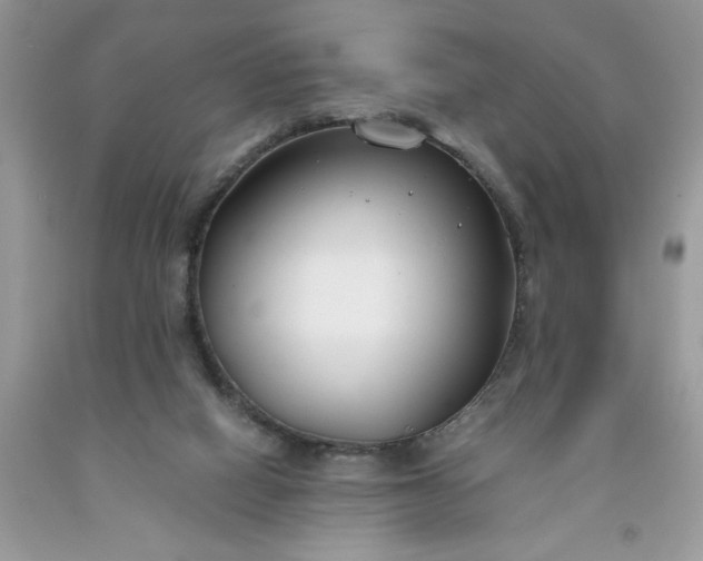 X0000091660066200709061030