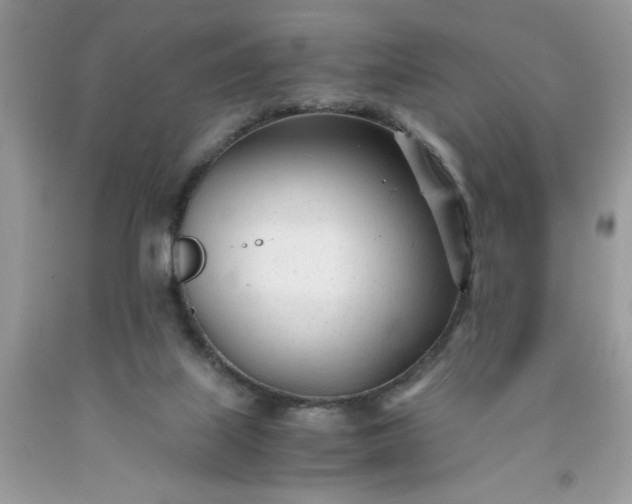 X0000091660067200709061030