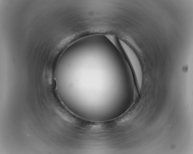 X0000091660068200709061030