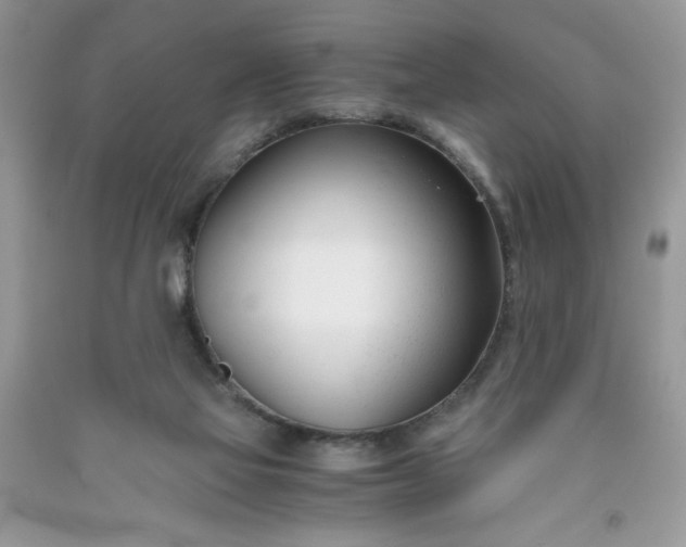 X0000091660069200709061030