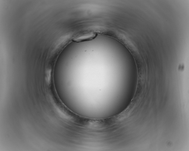 X0000091660070200709061030