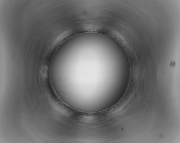 X0000091660071200709061030