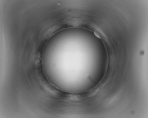 X0000091660073200709061030