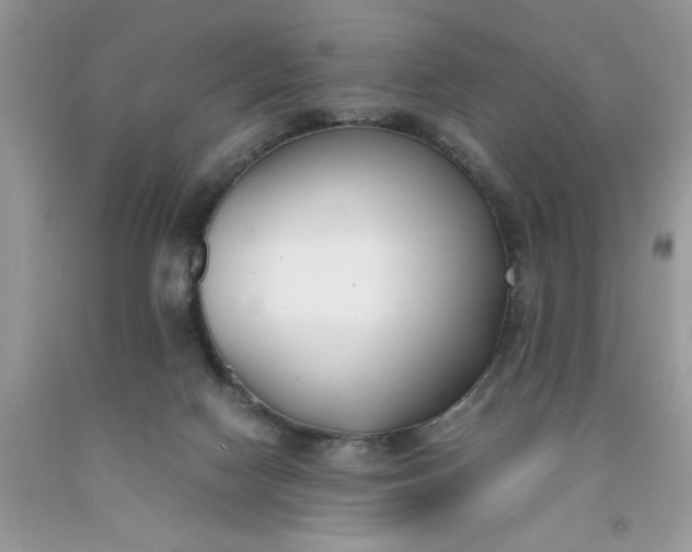 X0000091660074200709061030