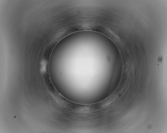 X0000091660075200709061030