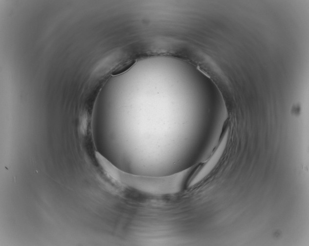 X0000091660076200709061030