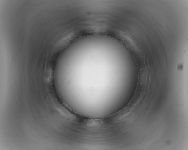 X0000091660077200709061030