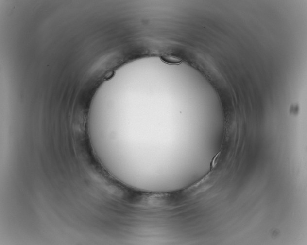 X0000091660078200709061030