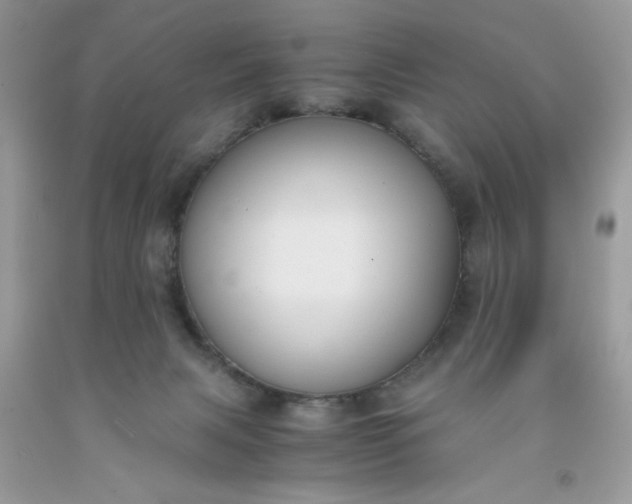 X0000091660079200709061030