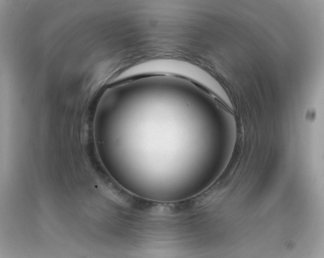 X0000091660080200709061030