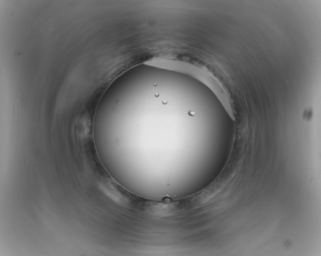 X0000091660081200709061030